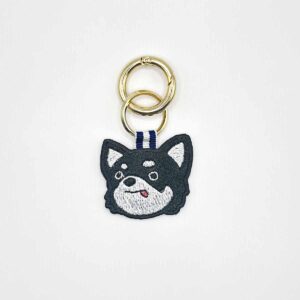 チワワの勝ち気さん（ブラック系）