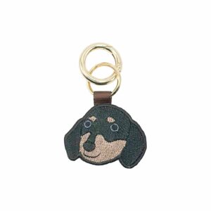 ダックスのしっかりさん（ブラックタン）