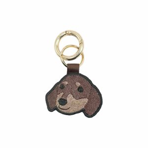 ダックスのしっかりさん（チョコタン）