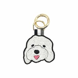 オーストラリアン・ラブラドゥードルのハッピーさん（クリーム系）