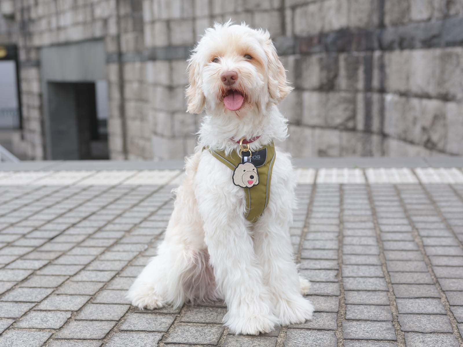 似顔絵うちの子グッズ